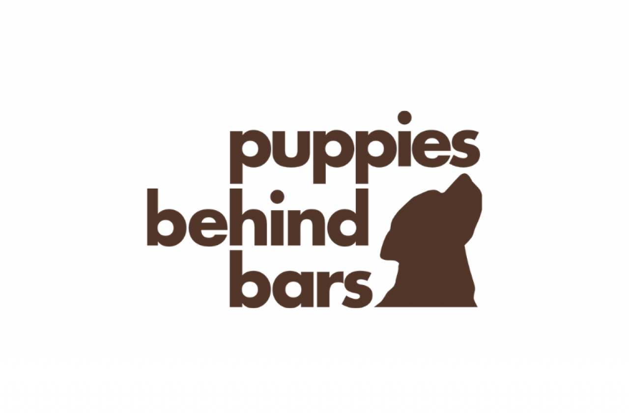 Puppies Behind Bars Charity Rating Charity Ratings Donating Tips